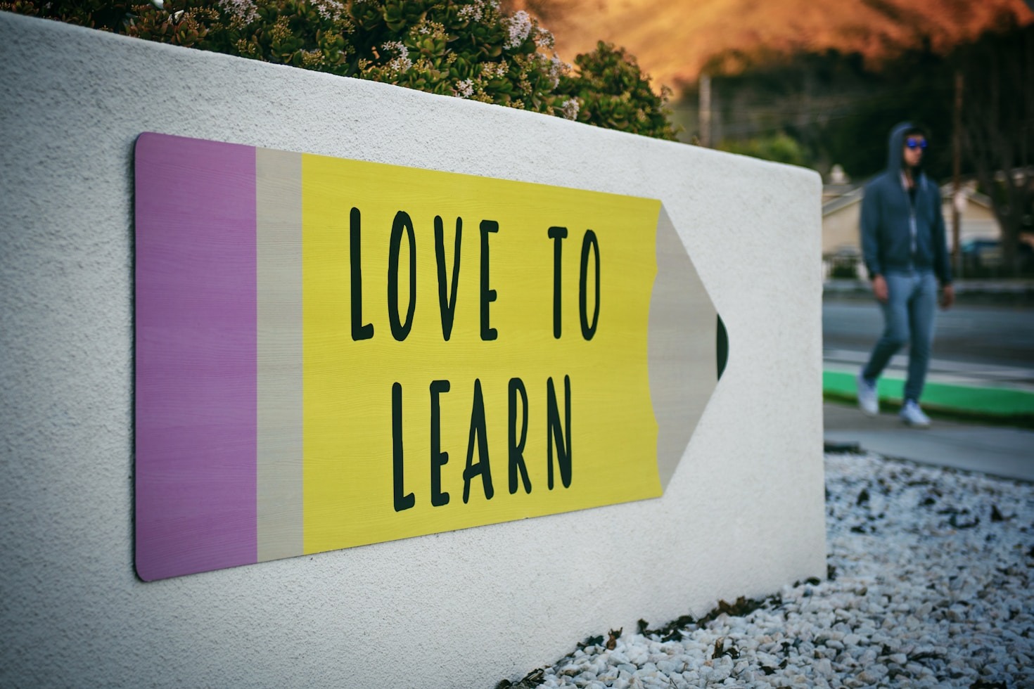 Interactive Quizzes: The Fun Way to Learn